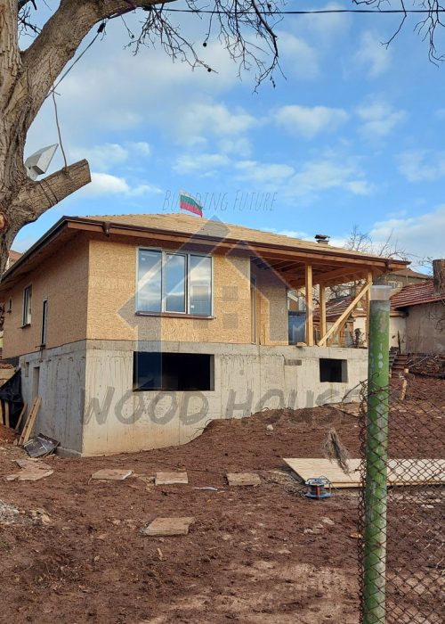 Radomir_2_007